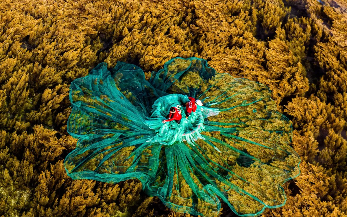 Gia Lai triển khai Đề án du lịch 2025 - 2030, lấy phát triển xanh, bền vững làm trọng tâm, hướng du lịch thành ngành kinh tế mũi nhọn. Ảnh: Dũng Nhân