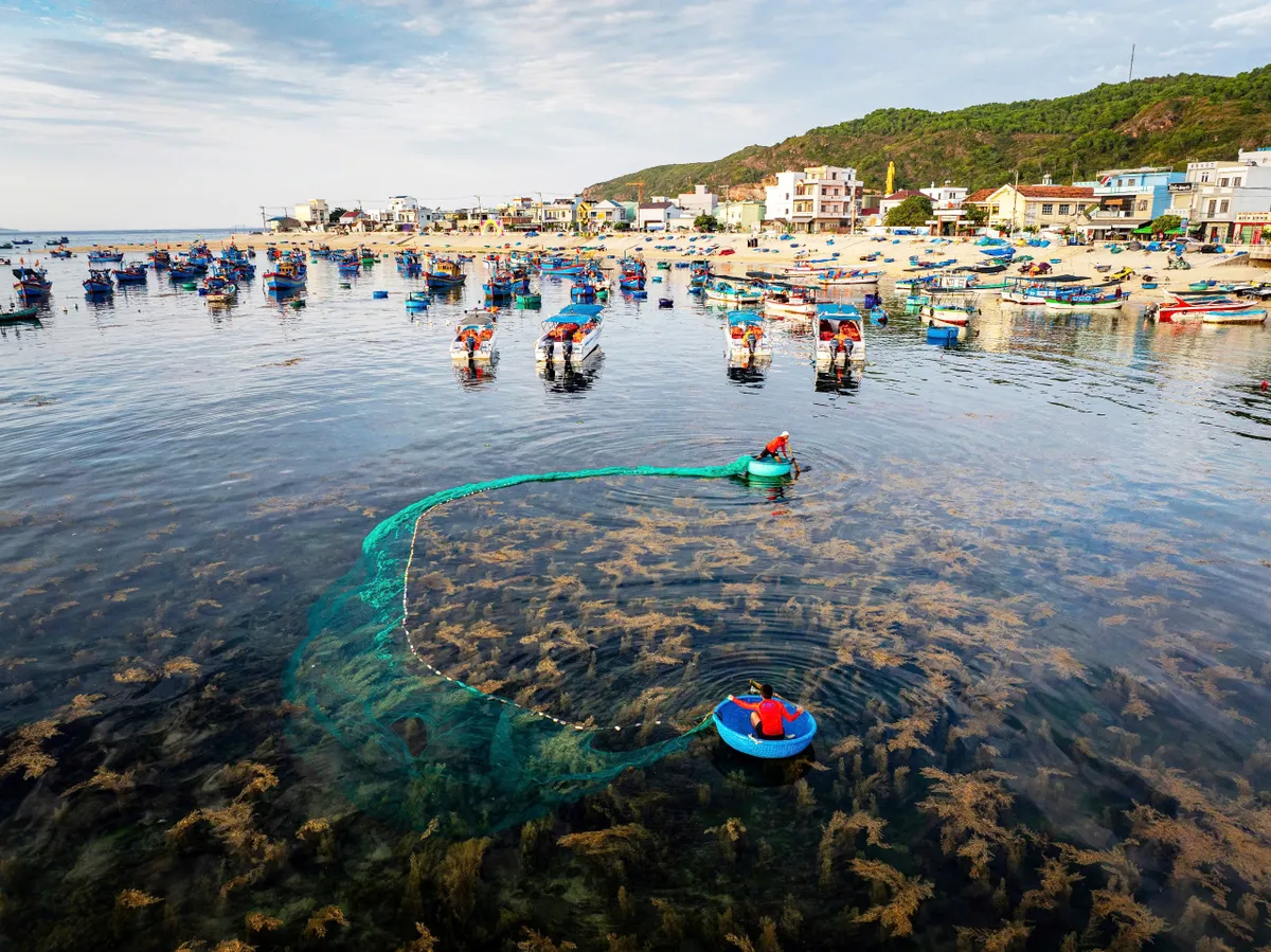 Gia Lai đặt du lịch xanh làm trụ cột phát triển dài hạn- Ảnh 1.